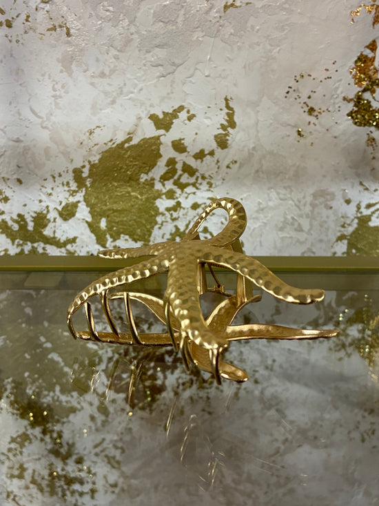 Starfish clip